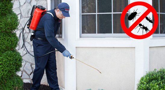 Yeniçamlık Kemirgen İlaçlama böcek ilaçlama ve haşere kontrolü — ilaclama-tr.com